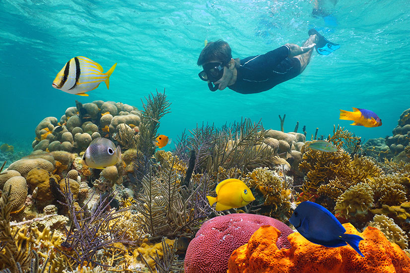 Snorkeling in Turks and Caicos 5 Triton Snorkeling 5